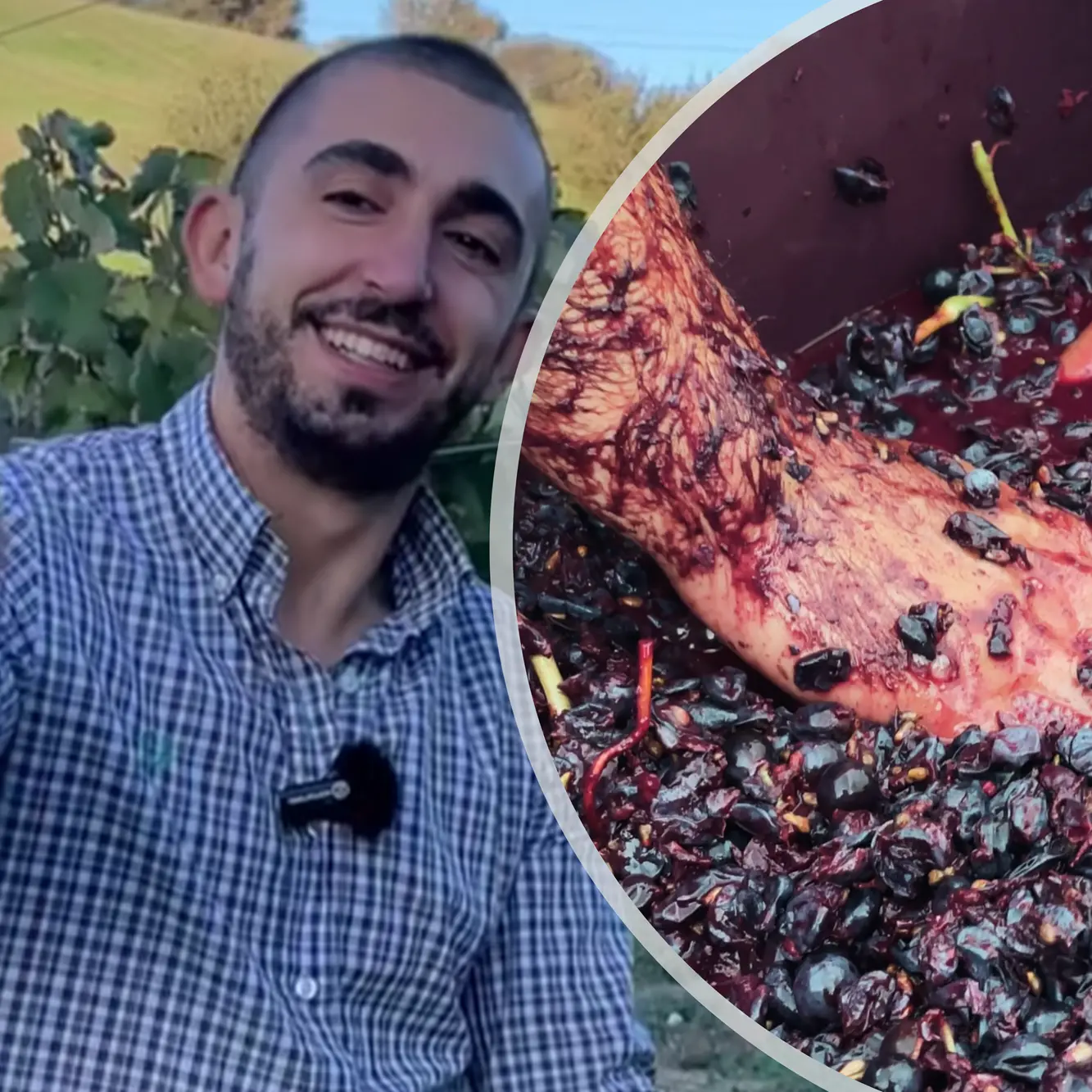 Matteo Pala, Segni di Terroir: “Così racconto sui social il mio lavoro in vigna a Bitti”
