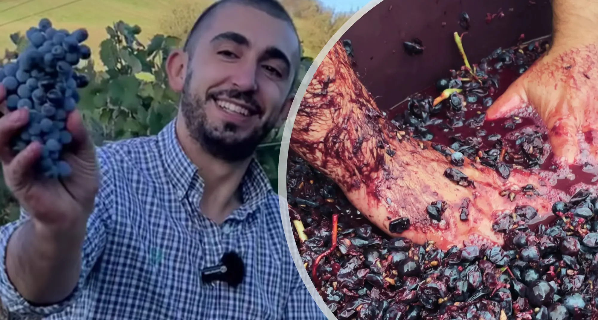 Matteo Pala, Segni di Terroir: “Così racconto sui social il mio lavoro in vigna a Bitti”