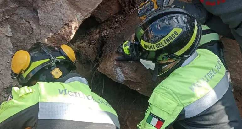Vigili del fuoco in azione: soccorso per un cane caduto in una fenditura