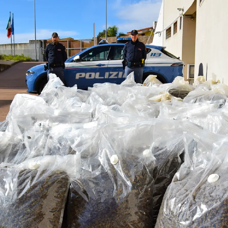 Maxi sequestro di marijuana nella zona industriale