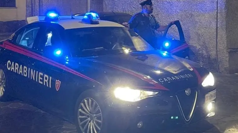 Tentato furto di legna: identificato un giovane di Gonnosfanadiga