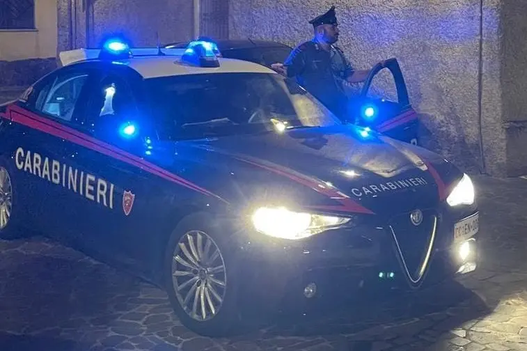 Tentato furto di legna: identificato un giovane di Gonnosfanadiga