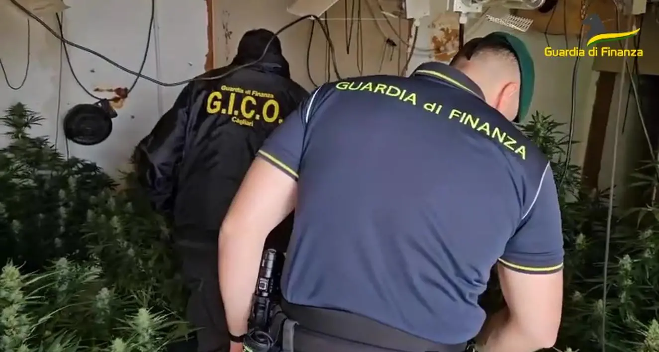 Traffico internazionale di droga: beni illeciti per oltre 3 milioni di euro confiscati a Cagliari