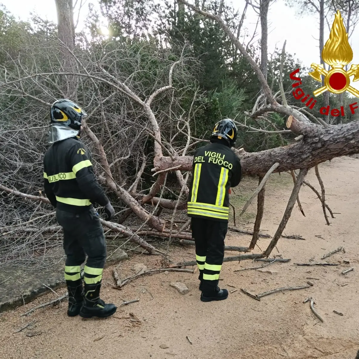 Maltempo nel nord ovest della Sardegna: 90 interventi dei Vigili del Fuoco