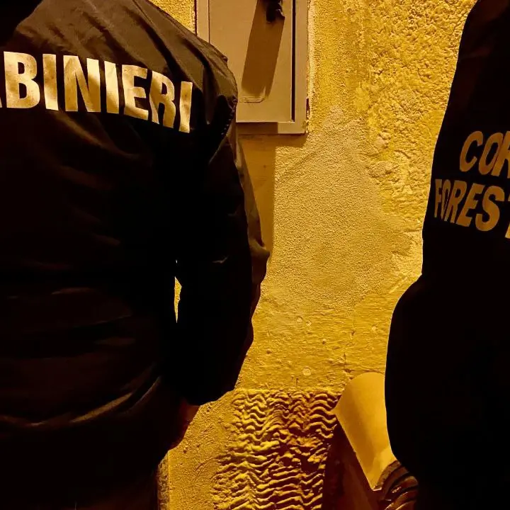 Blitz dei carabinieri in Baronia: 9 arresti, sequestrate armi e droga