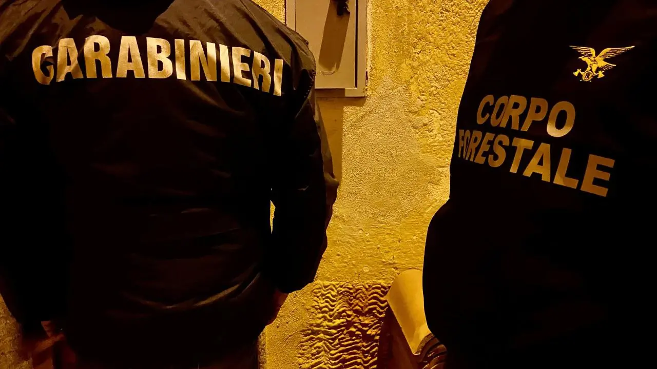 Blitz dei carabinieri in Baronia: 9 arresti, sequestrate armi e droga