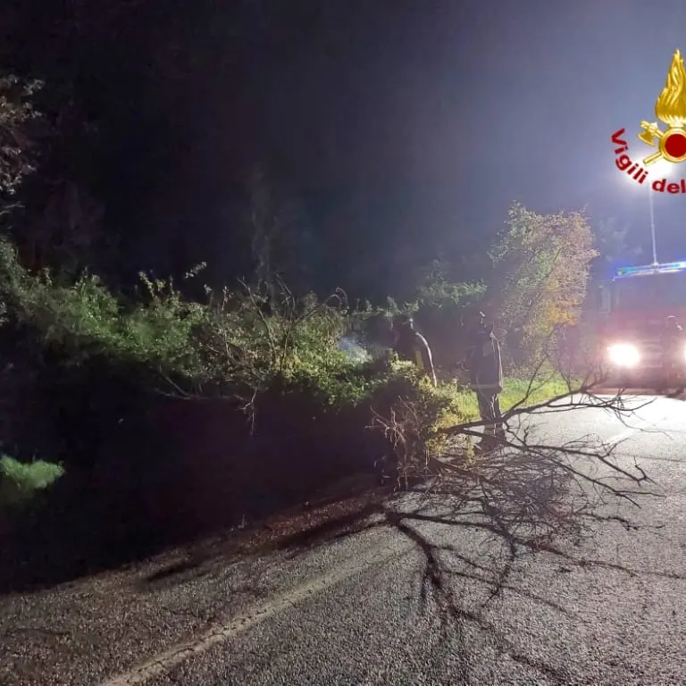 Emergenza maltempo nell'Oristanese: alberi abbattuti e numerosi interventi dei Vigili del fuoco