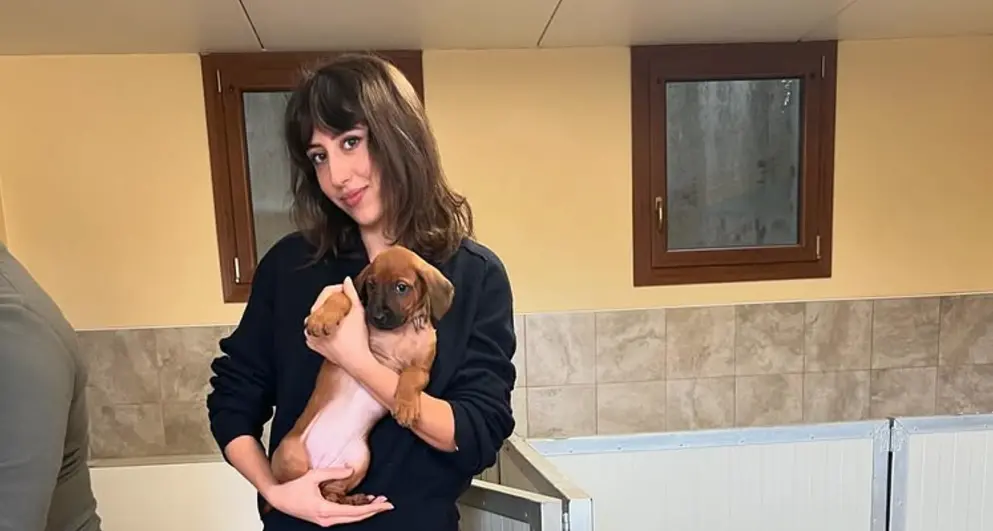 Cecilia Sala arrestata in Iran, il fidanzato: \"Appena sarà possibile saprà di tutto l'affetto”
