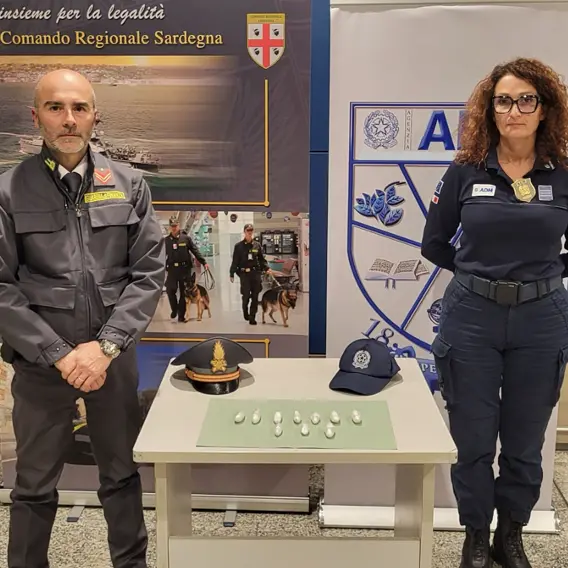 Ufficio delle Dogane di Cagliari, risultati record nel 2024. I sequestri: dalle corna di montone alla droga