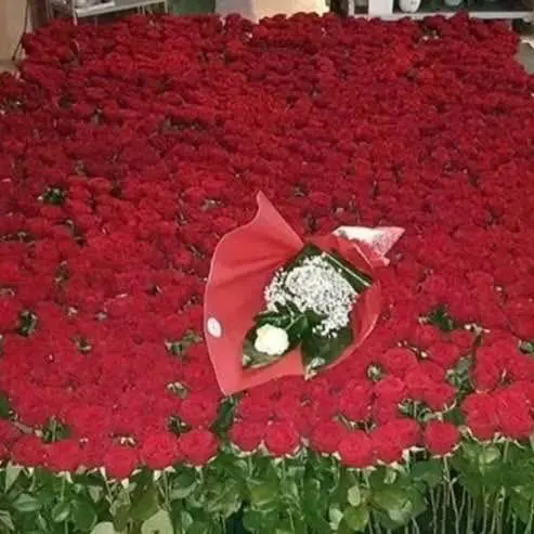 Fa recapitare alla propria amata 2025 rose rosse a Capodanno, mistero a Mesagne