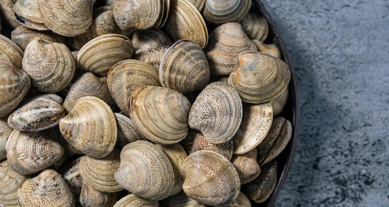 Vongole Coralfish ritirate dal mercato: allerta del ministero