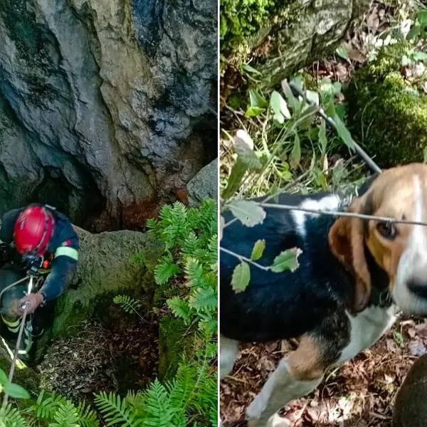 Precipita in una cavità rocciosa, cane soccorso dai Vigili del fuoco a Nebida