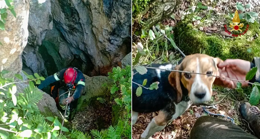 Precipita in una cavità rocciosa, cane soccorso dai Vigili del fuoco a Nebida