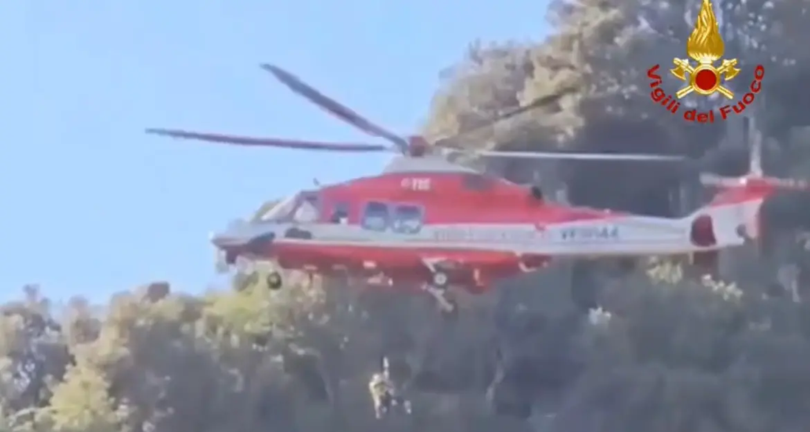 Cane intrappolato in un canale salvato dai Vigili del Fuoco a Gadoni