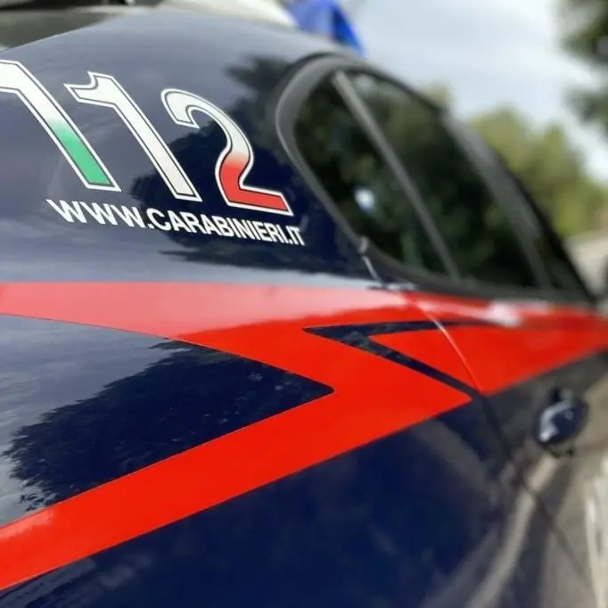 Arrestato per furto aggravato a Olmedo: colto in flagrante con la refurtiva