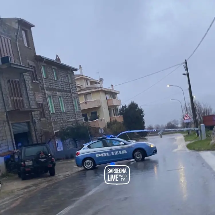 Maltempo, a Orgosolo abbattuti un albero e un palo dell’illuminazione