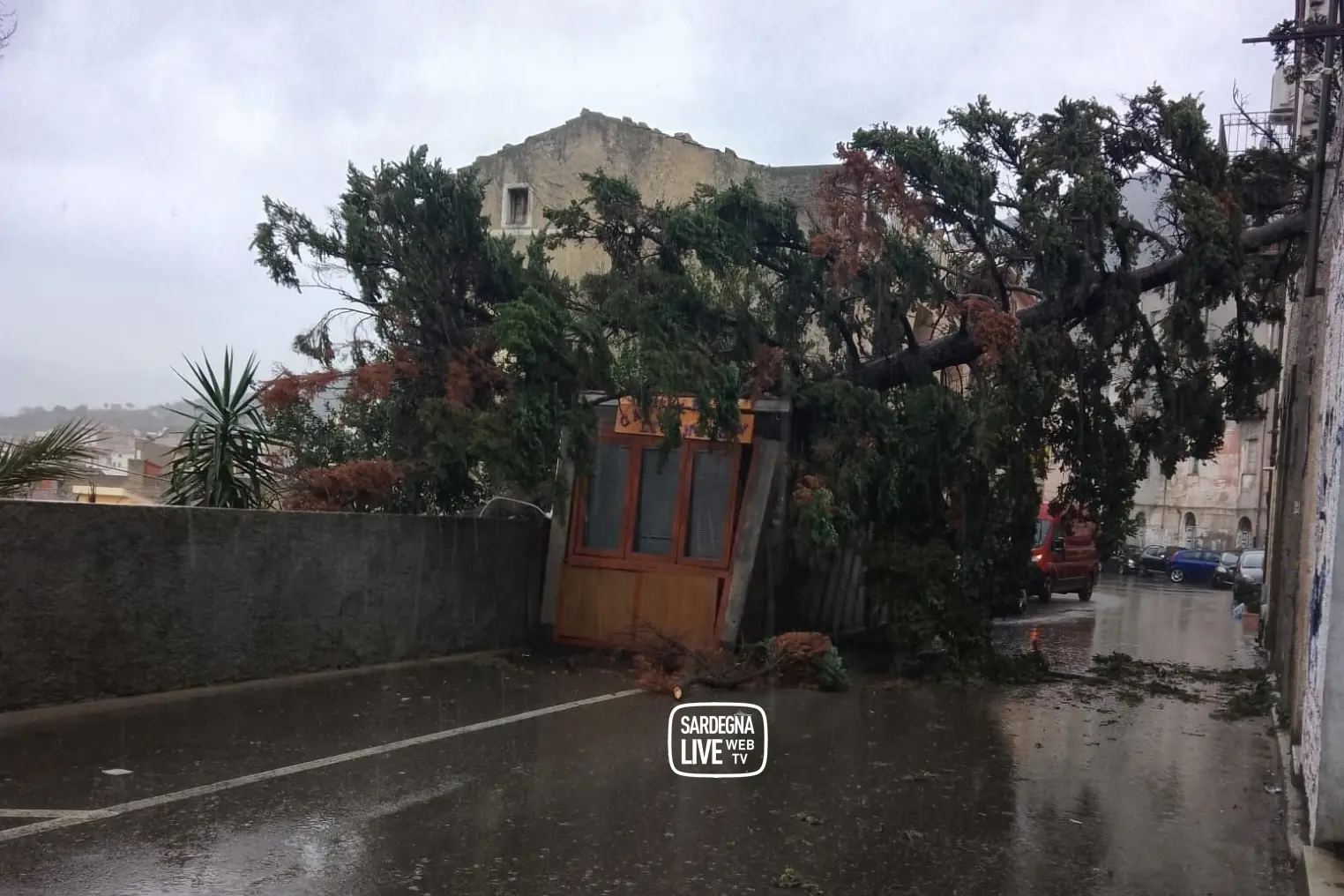 <p>Albero caduto a Orgosolo</p>\\n