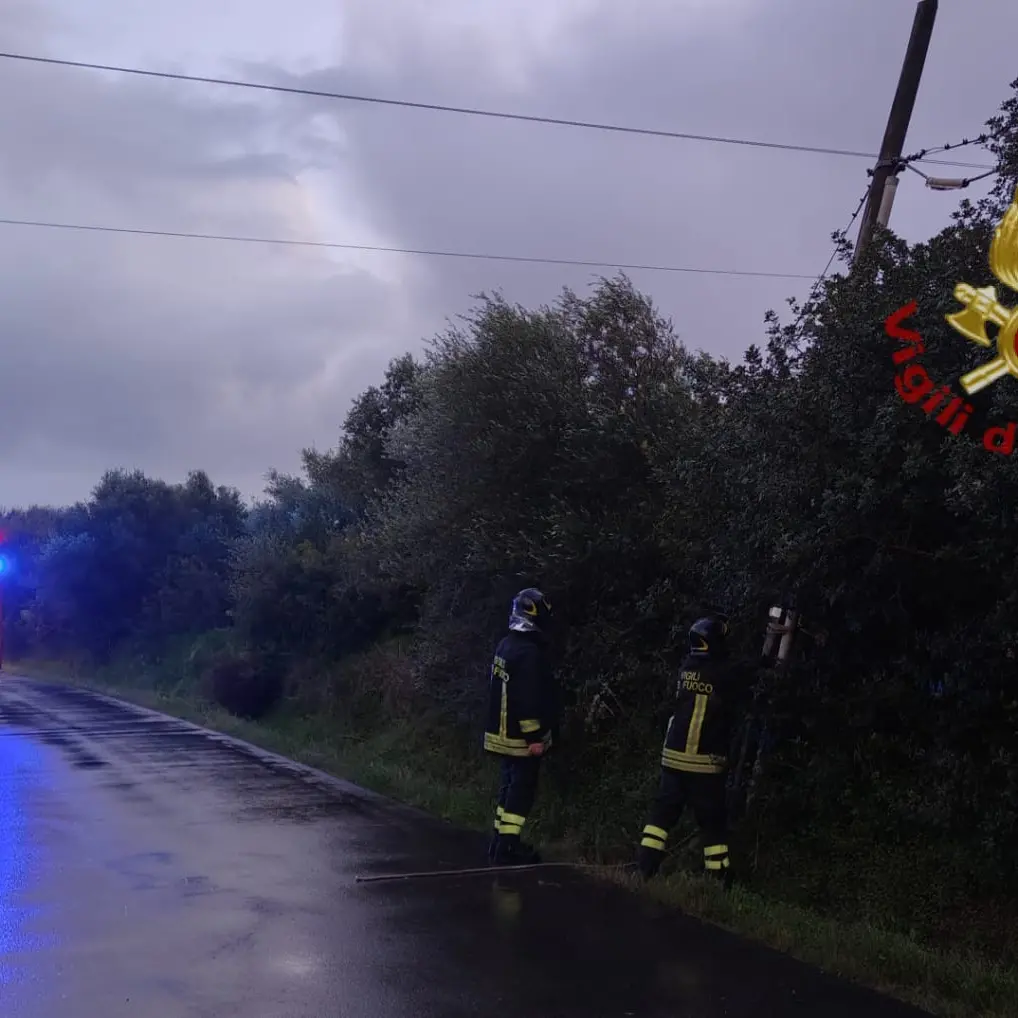 Maltempo a Cagliari, bufera di vento e alberi sulle auto