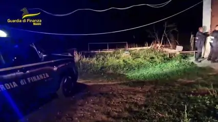 Arrestato imprenditore agricolo a Sarule: scoperta piantagione di 1.414 piante di canapa