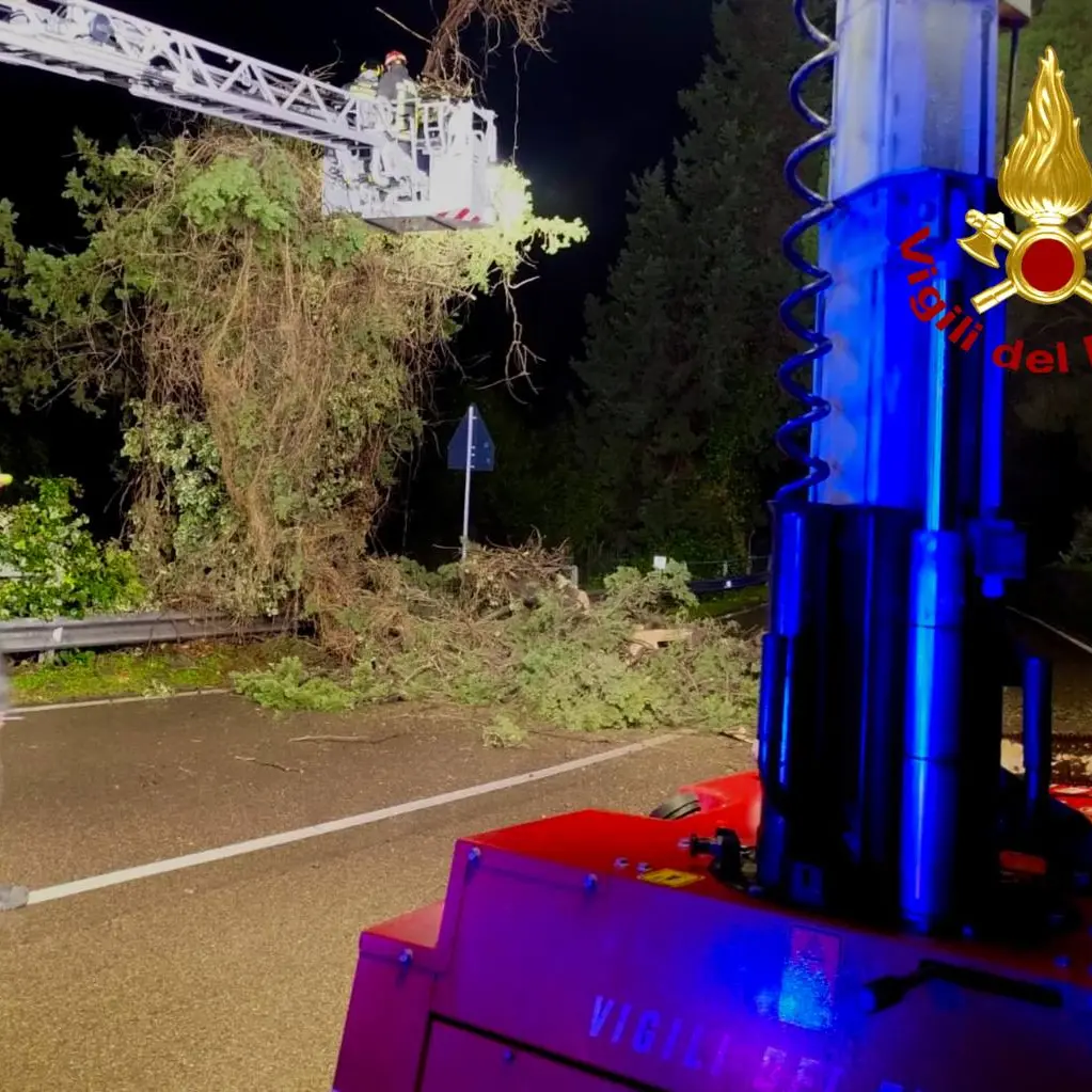 Maltempo. Albero pericolante sulla strada fra Cagliari e Burcei: rimosso in tarda notte