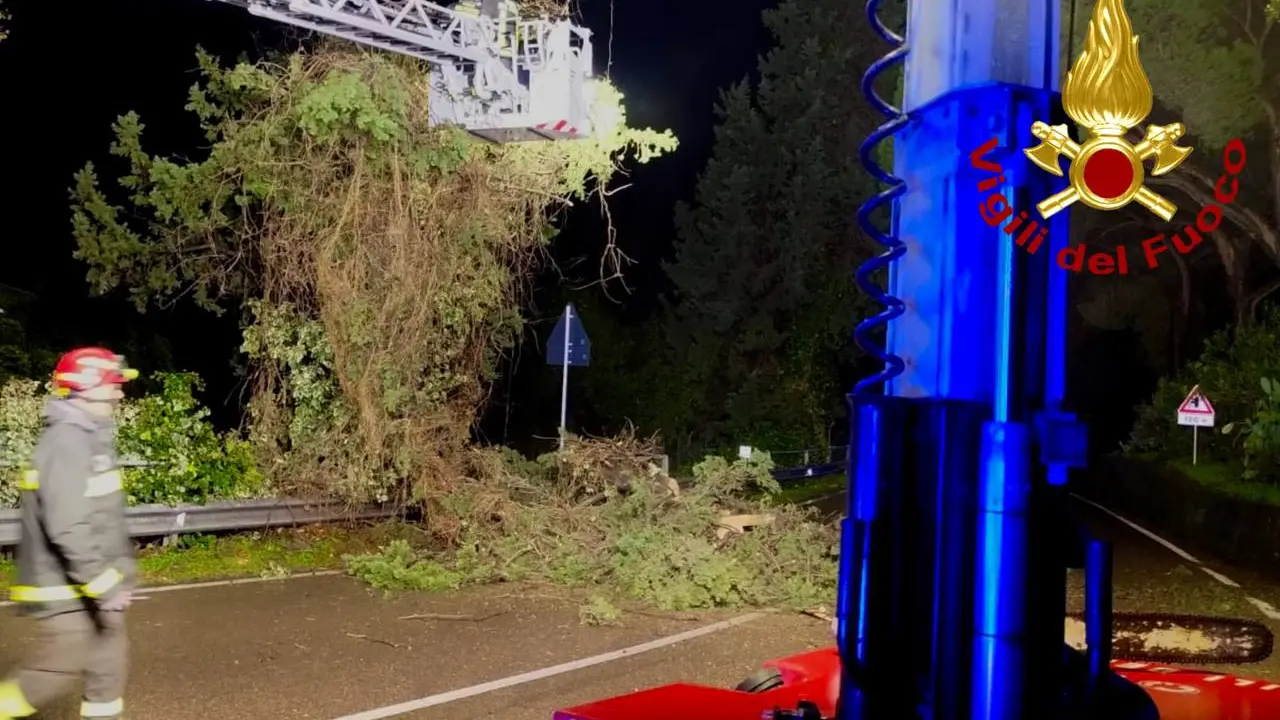 Maltempo. Albero pericolante sulla strada fra Cagliari e Burcei: rimosso in tarda notte