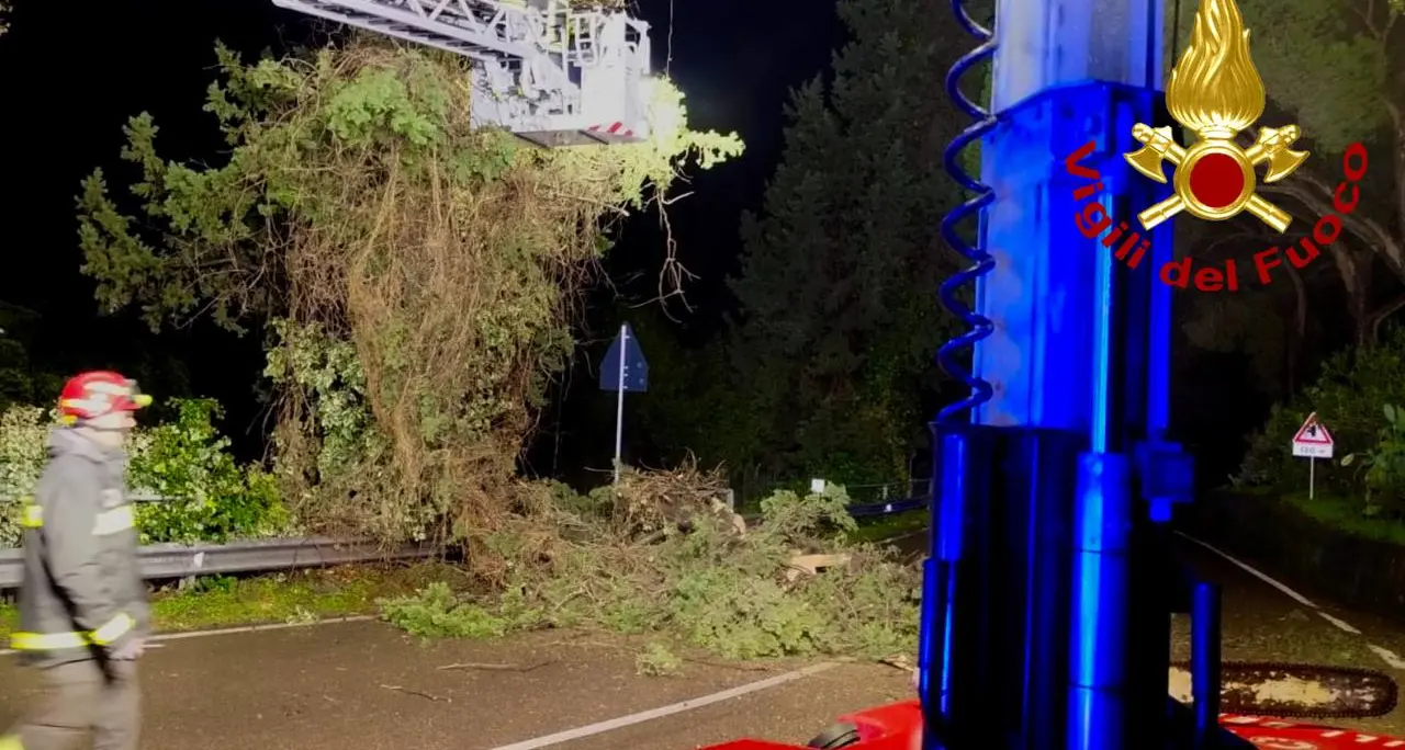 Maltempo. Albero pericolante sulla strada fra Cagliari e Burcei: rimosso in tarda notte