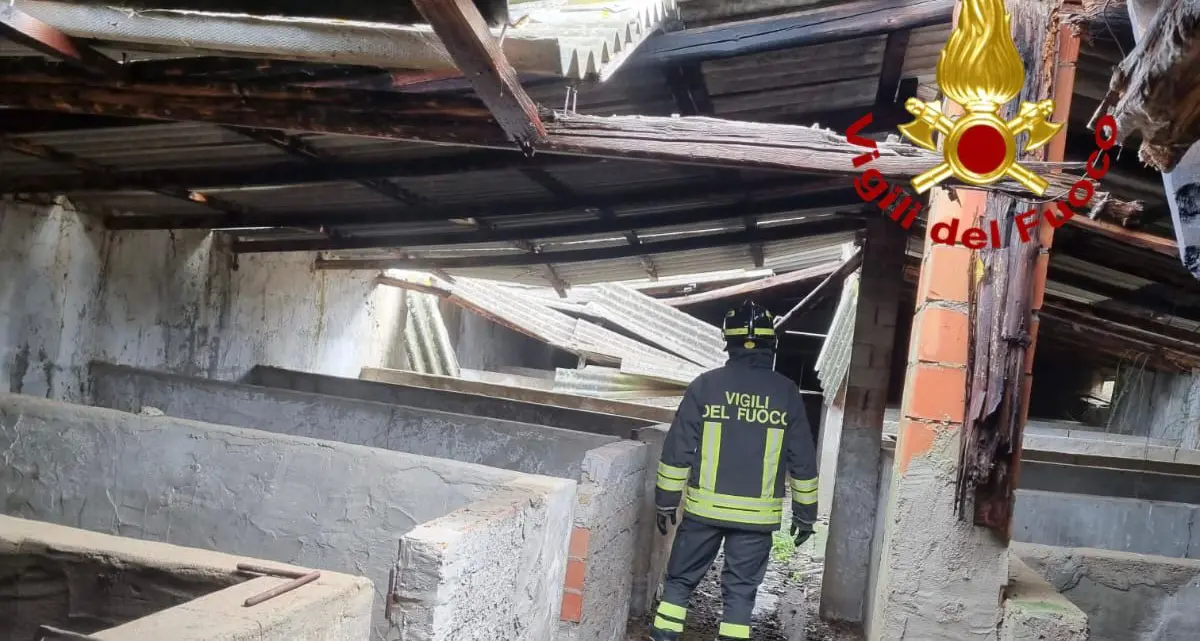 Emergenza a Lanusei: vento abbatte coperture di capannoni, causando perdite di bestiame