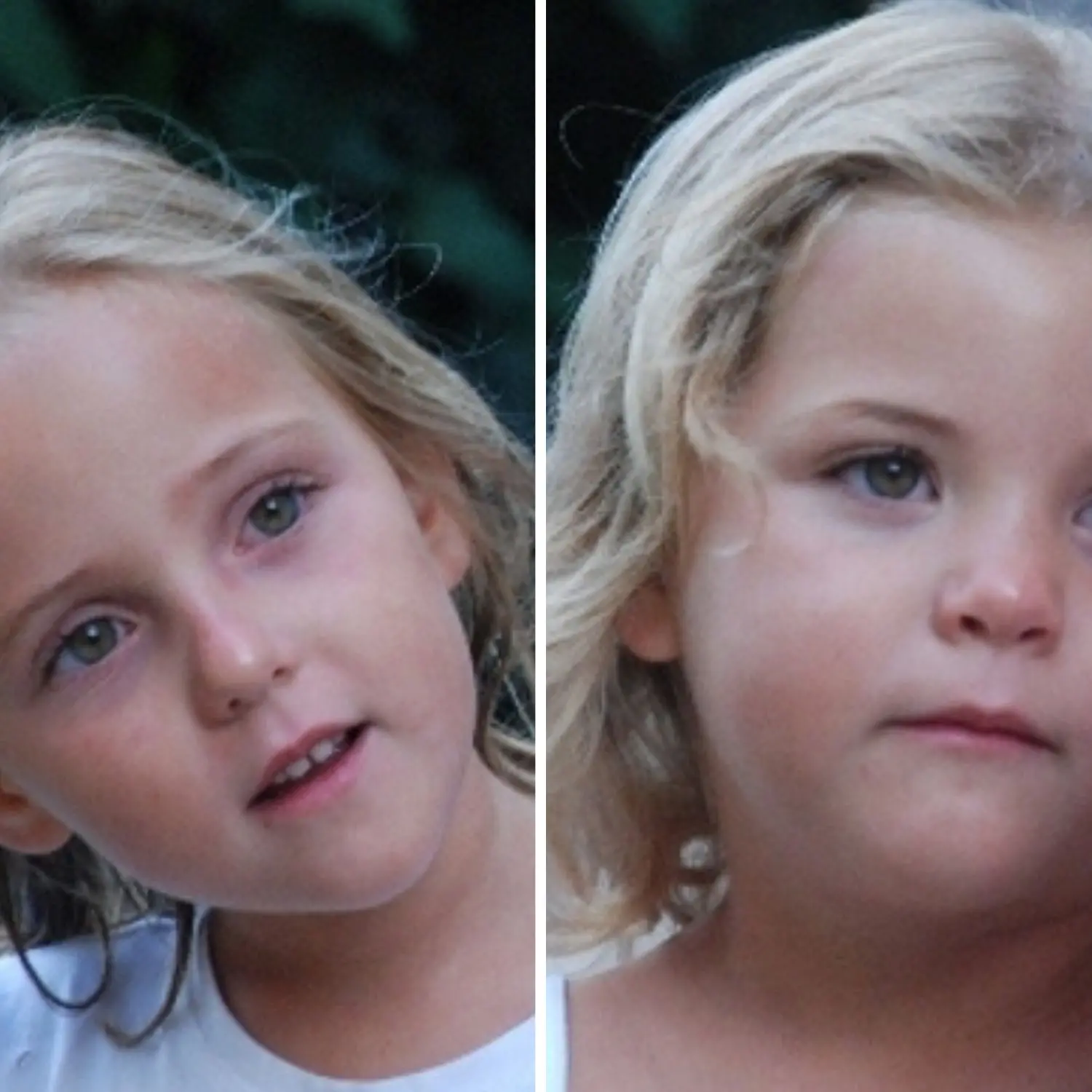 30 gennaio 2011. Il mistero delle gemelline Alessia e Livia Schepp: 14 anni di silenzio