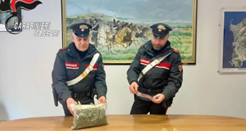 Marijuana e cocaina nascoste in cameretta: arrestati due giovani a Olbia