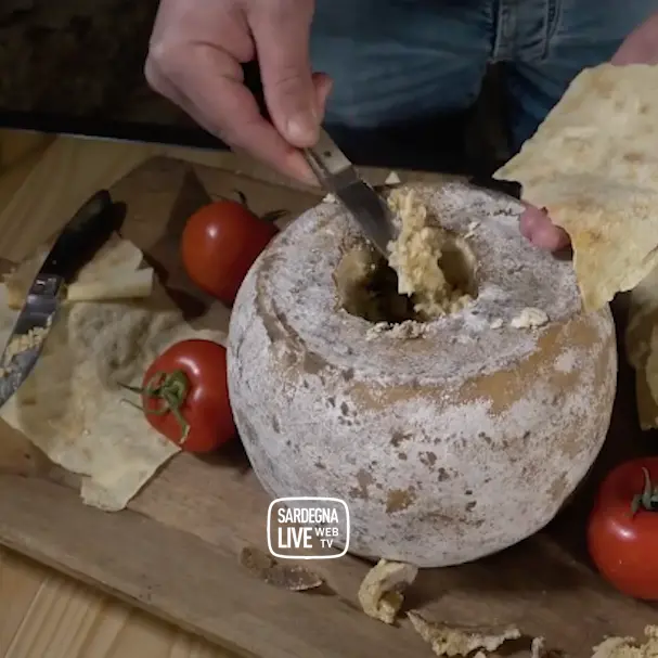 Casu Marzu. Il Re del Formaggio “Proibito” e il suo posto nel Museo dei Cibi Più Disgustosi