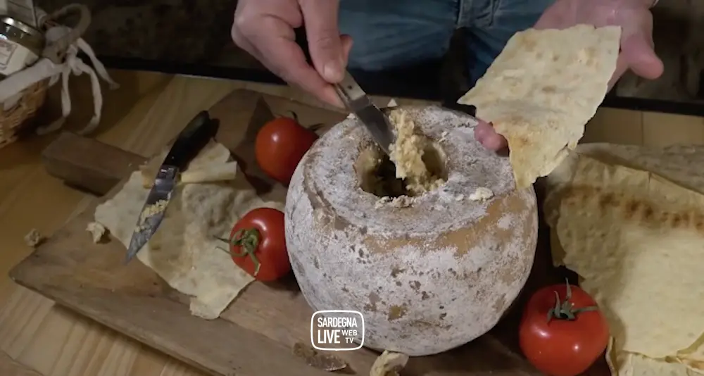 Casu Marzu. Il Re del Formaggio “Proibito” e il suo posto nel Museo dei Cibi Più Disgustosi