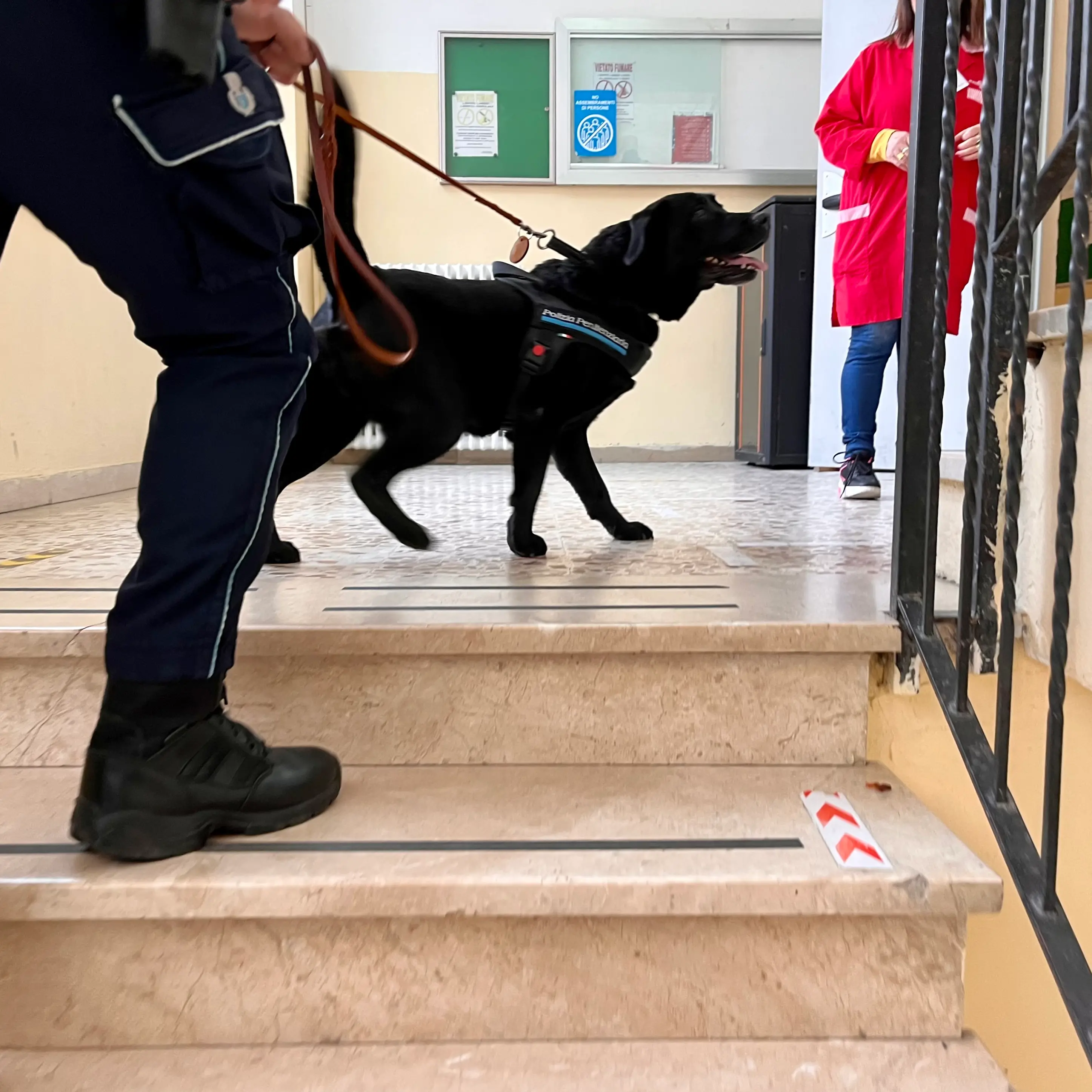 Operazione antidroga nelle scuole di Nuoro: in azione anche i cani poliziotto