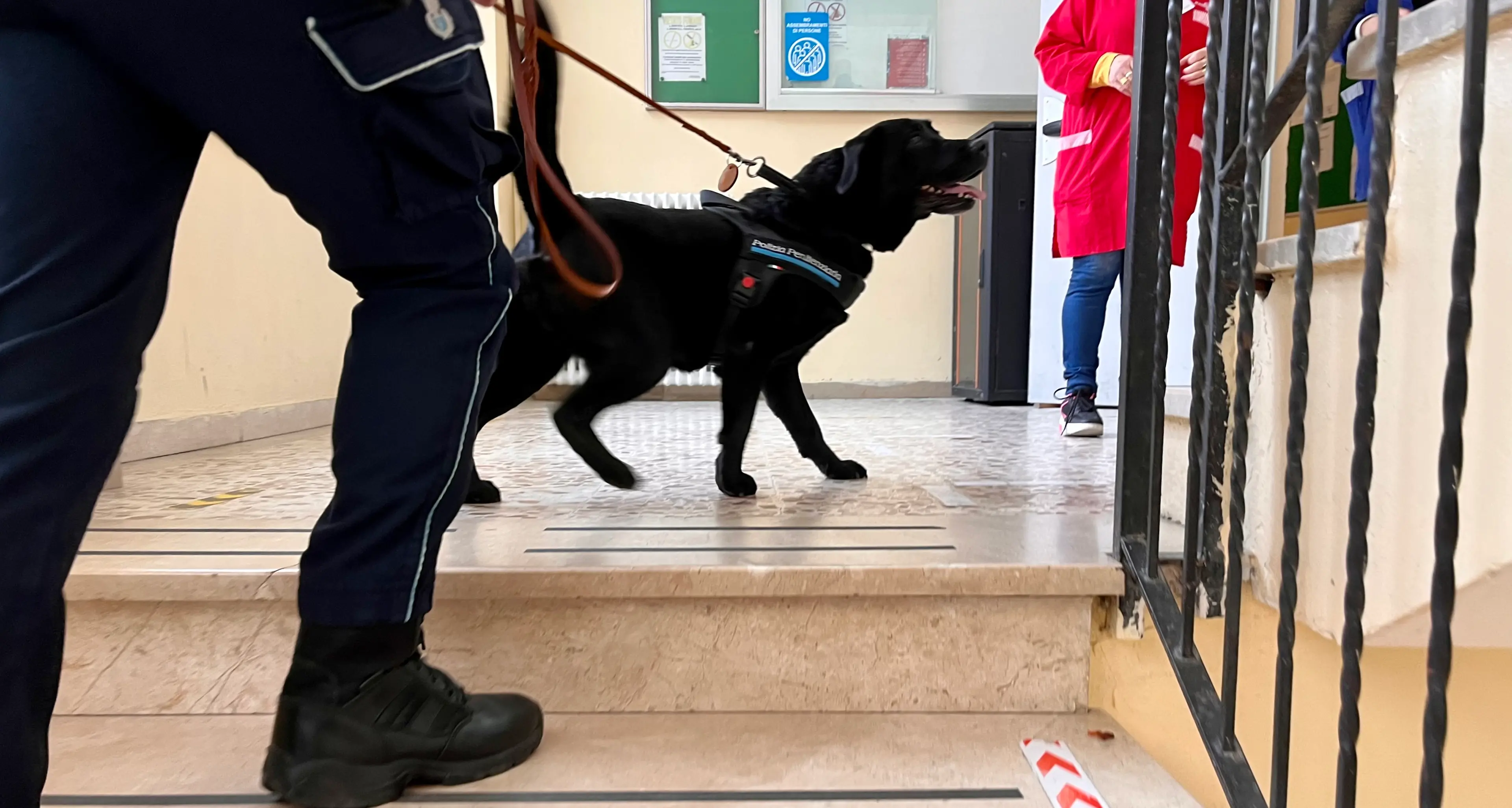 Operazione antidroga nelle scuole di Nuoro: in azione anche i cani poliziotto