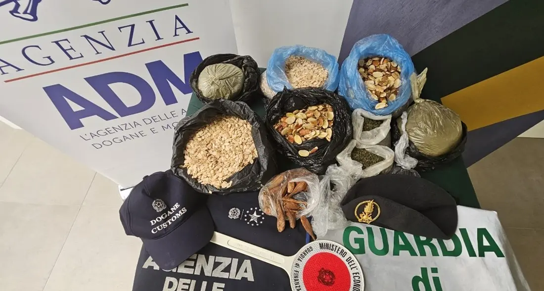 Semi non certificati sequestrati in aeroporto: allerta ad Alghero