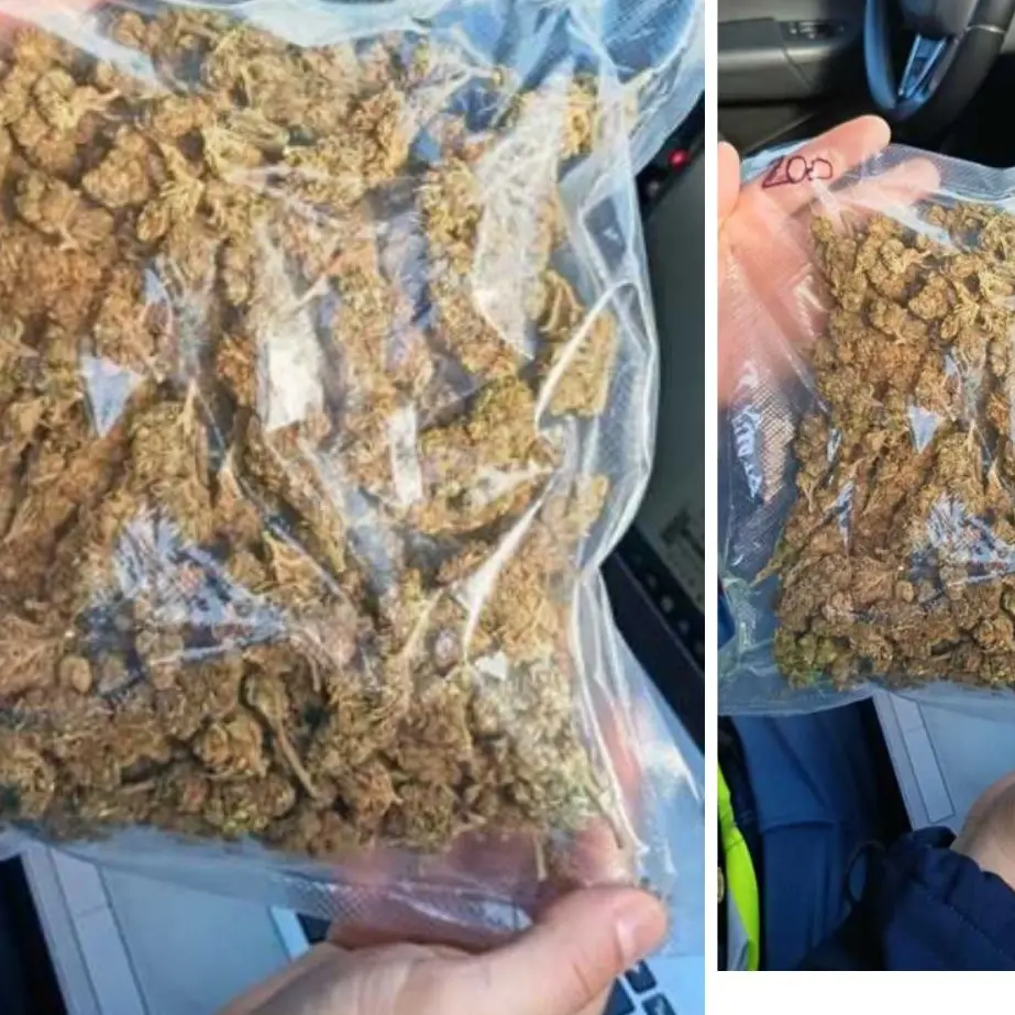 Fermato sulla SS 131: positivo all’alcol test e trovato con 300 grammi di marijuana