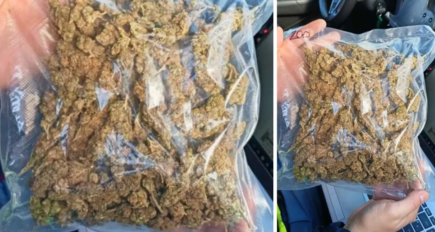 Fermato sulla SS 131: positivo all’alcol test e trovato con 300 grammi di marijuana