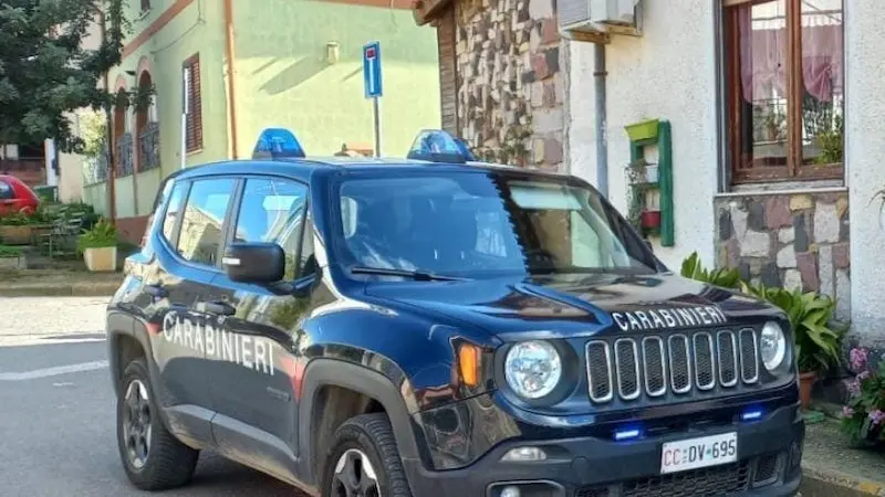 Ladro di carciofi a Serrenti: 86enne sorpreso con le mani nel campo e il coltello nel taschino