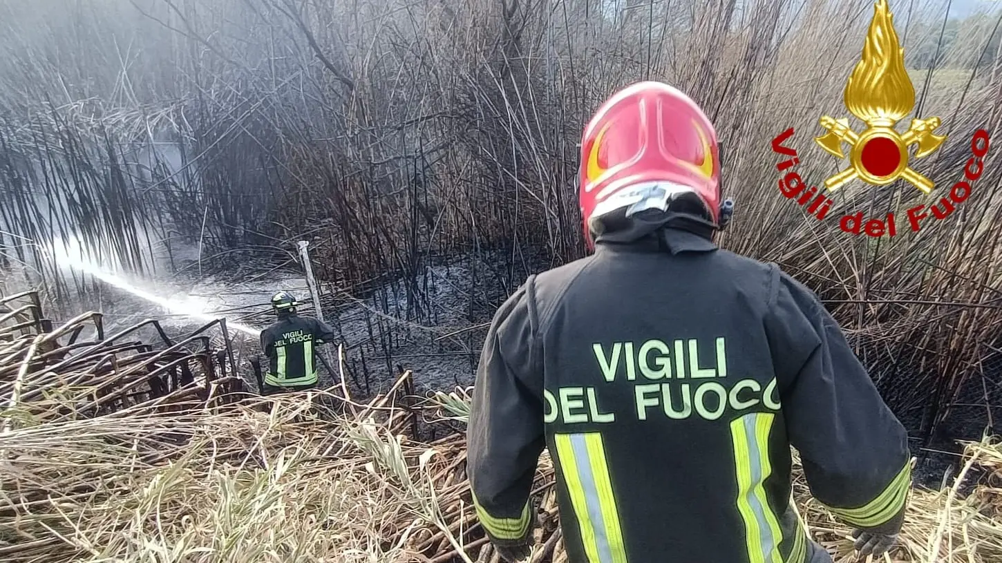 Canneto in fiamme sulla provinciale 59: intervengono i Vigili del Fuoco di Arzachena