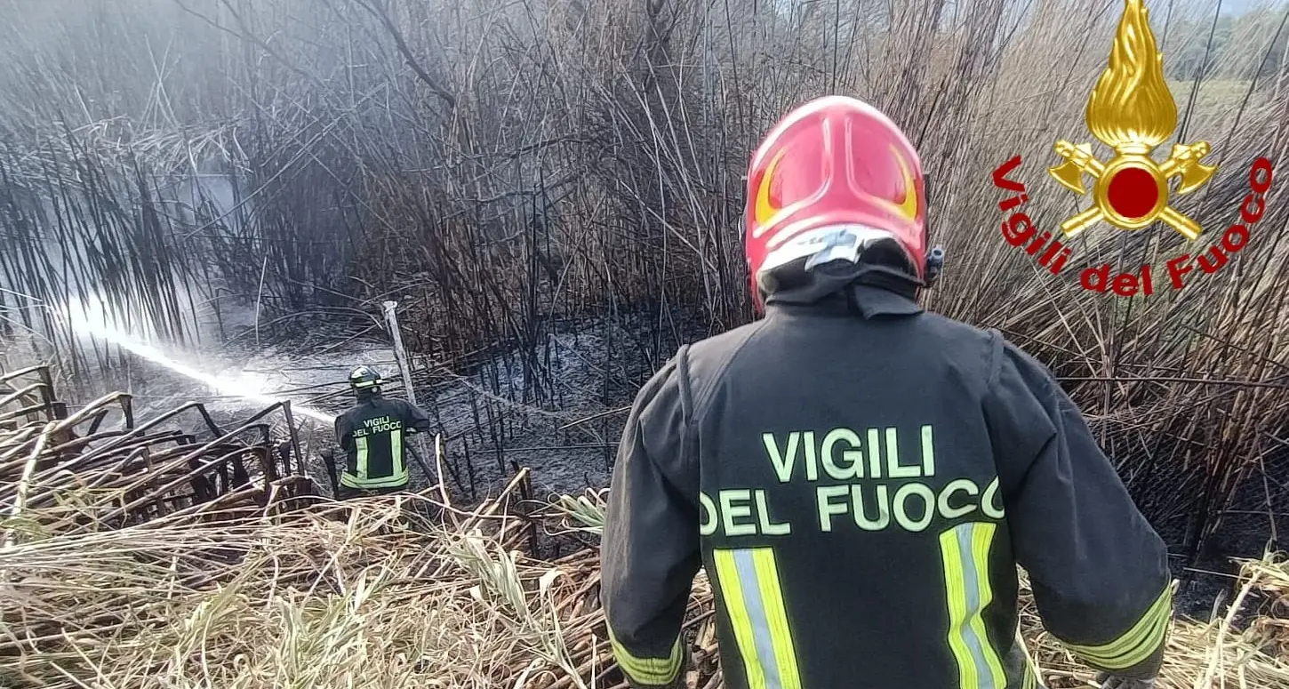 Canneto in fiamme sulla provinciale 59: intervengono i Vigili del Fuoco di Arzachena