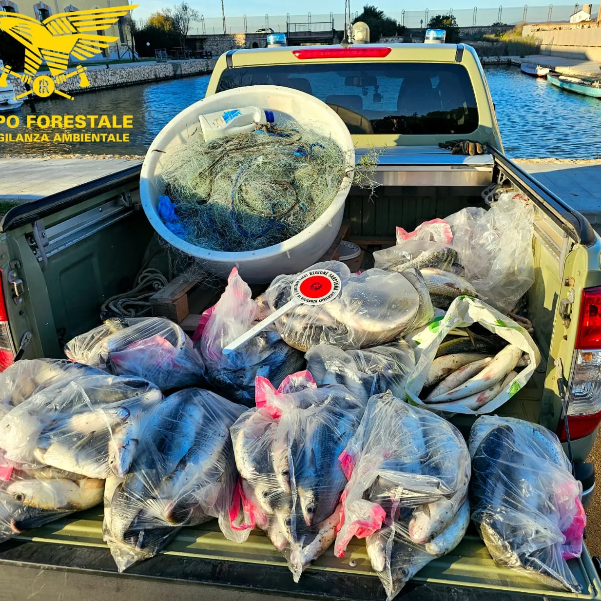 Operazione anti-bracconaggio a Cagliari: sequestrati 120 kg di muggini