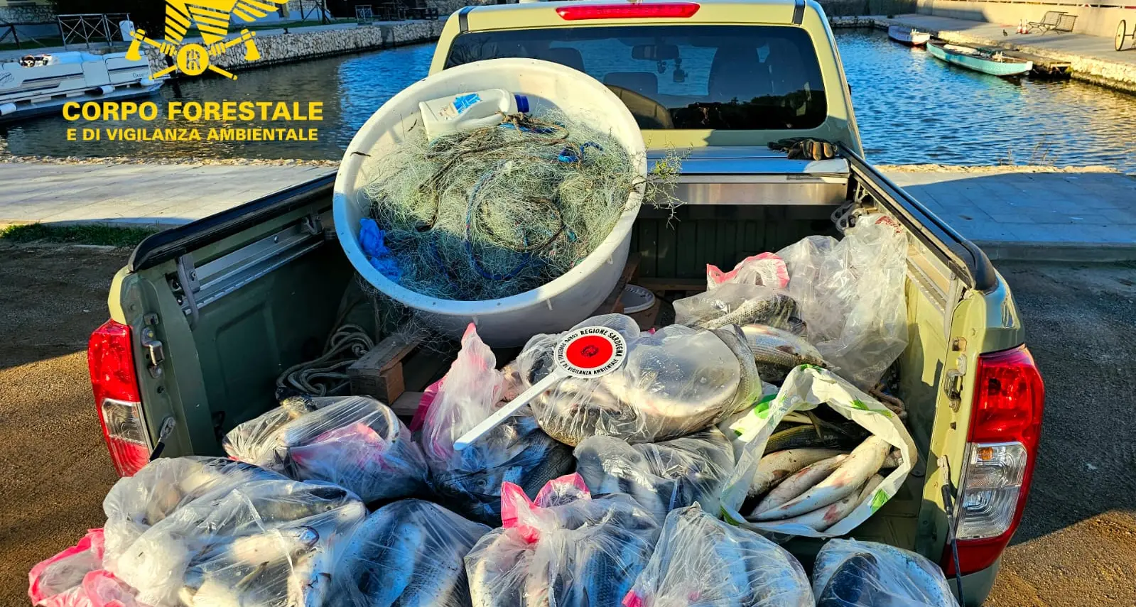Operazione anti-bracconaggio a Cagliari: sequestrati 120 kg di muggini