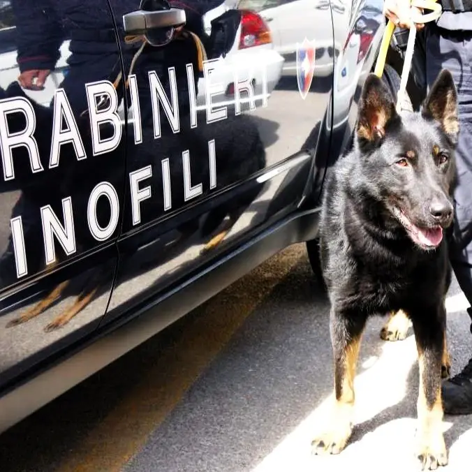 Controlli e perquisizioni dei Carabinieri a Tertenia: tre denunce