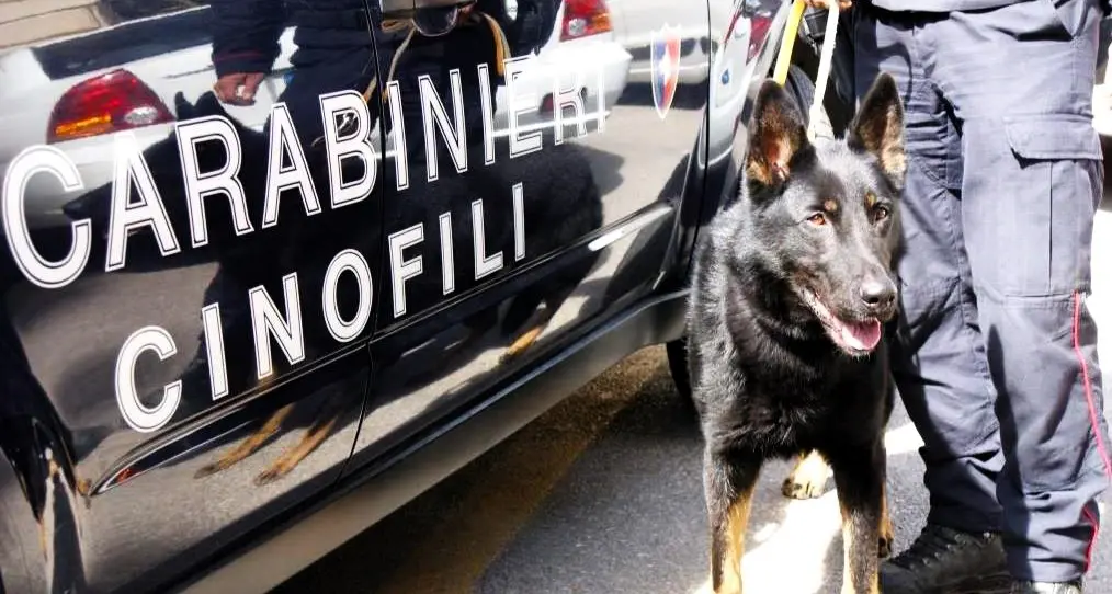 Controlli e perquisizioni dei Carabinieri a Tertenia: tre denunce