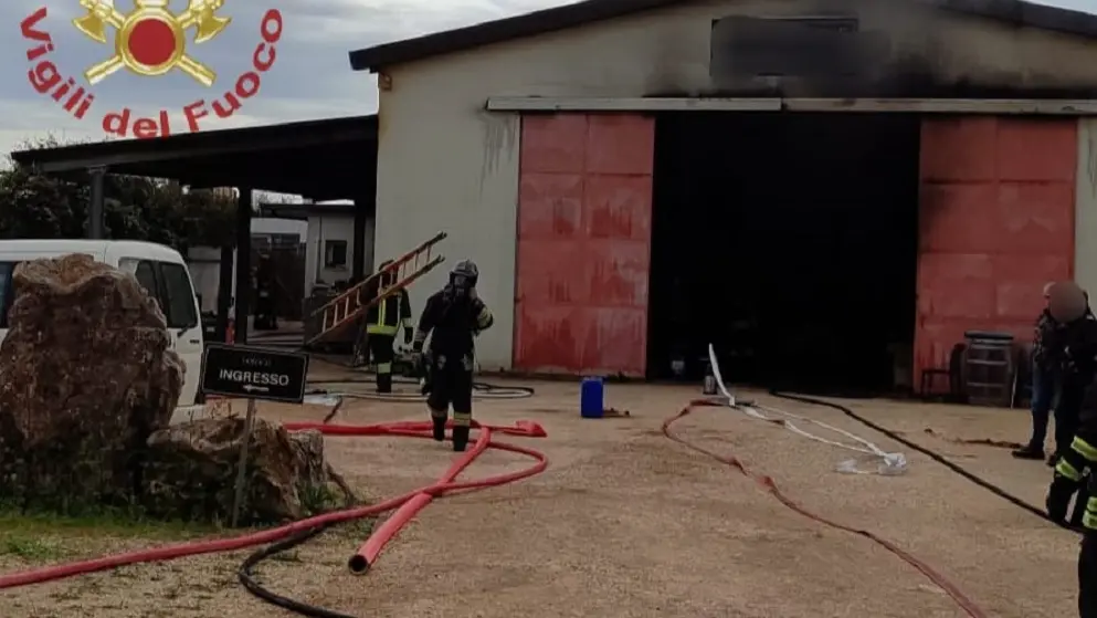 Incendio in azienda vitivinicola nel Sassarese: danni limitati grazie ai soccorsi