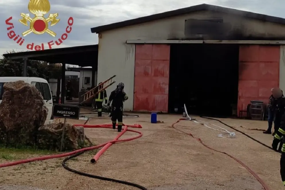 Incendio in azienda vitivinicola nel Sassarese: danni limitati grazie ai soccorsi