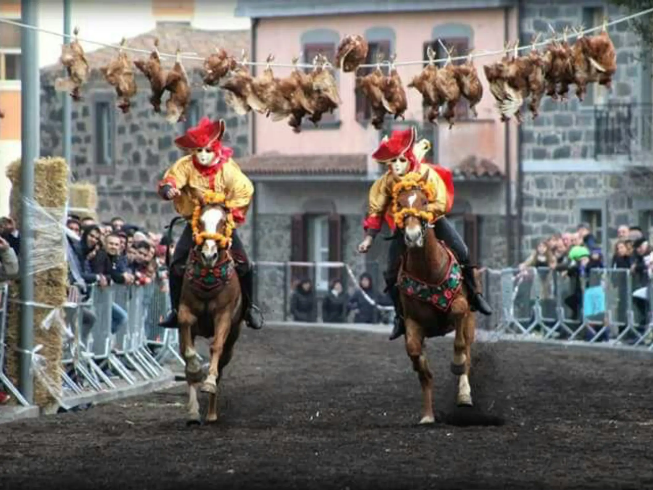 Corsa \"a su puddu\" di Sedilo: polemiche di animalisti e parlamentari, ma la festa si fa