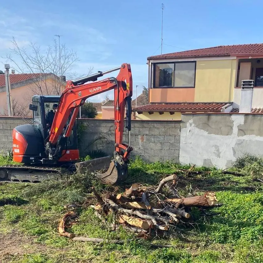 A Quartu parte il progetto di forestazione urbana: 1500 nuovi alberi