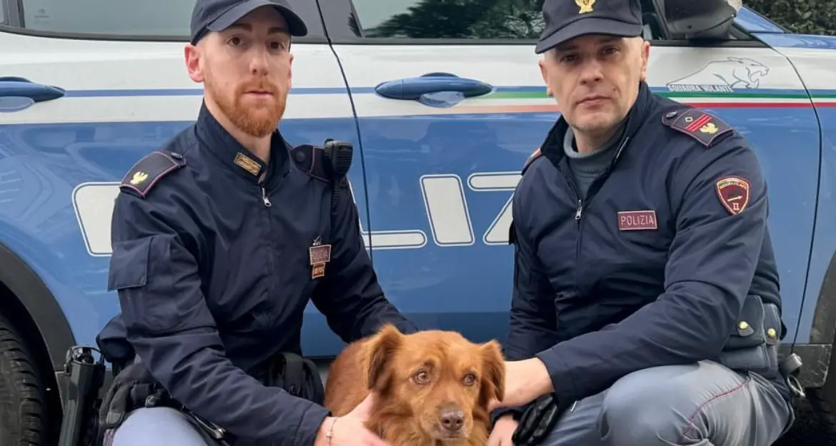 Poliziotti eroi a Benevento: salvano un cane in pericolo in una galleria