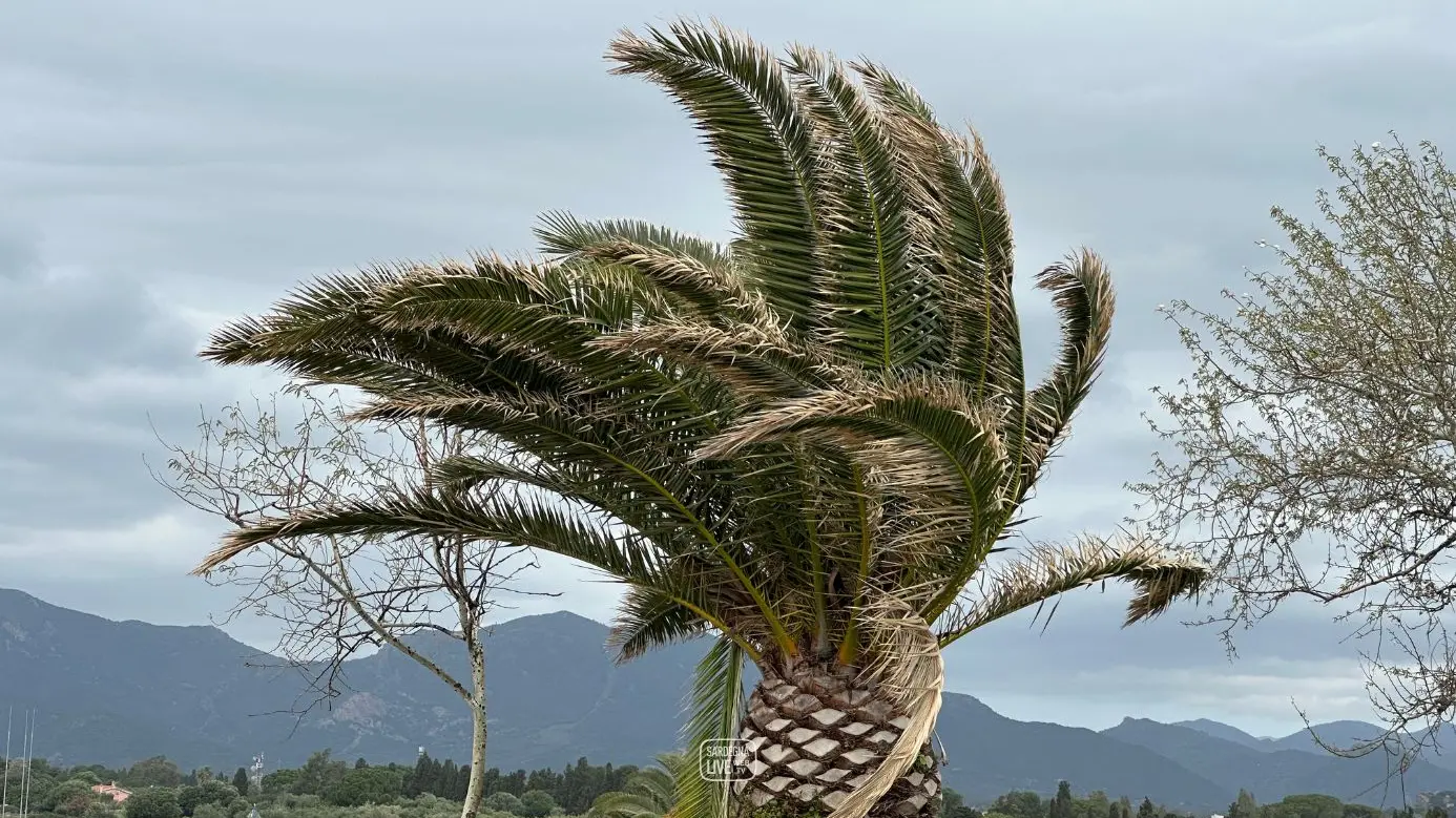 Sardegna nella morsa del maltempo: vento oltre i 100 km/h, neve sul Gennargentu e trasporti in tilt
