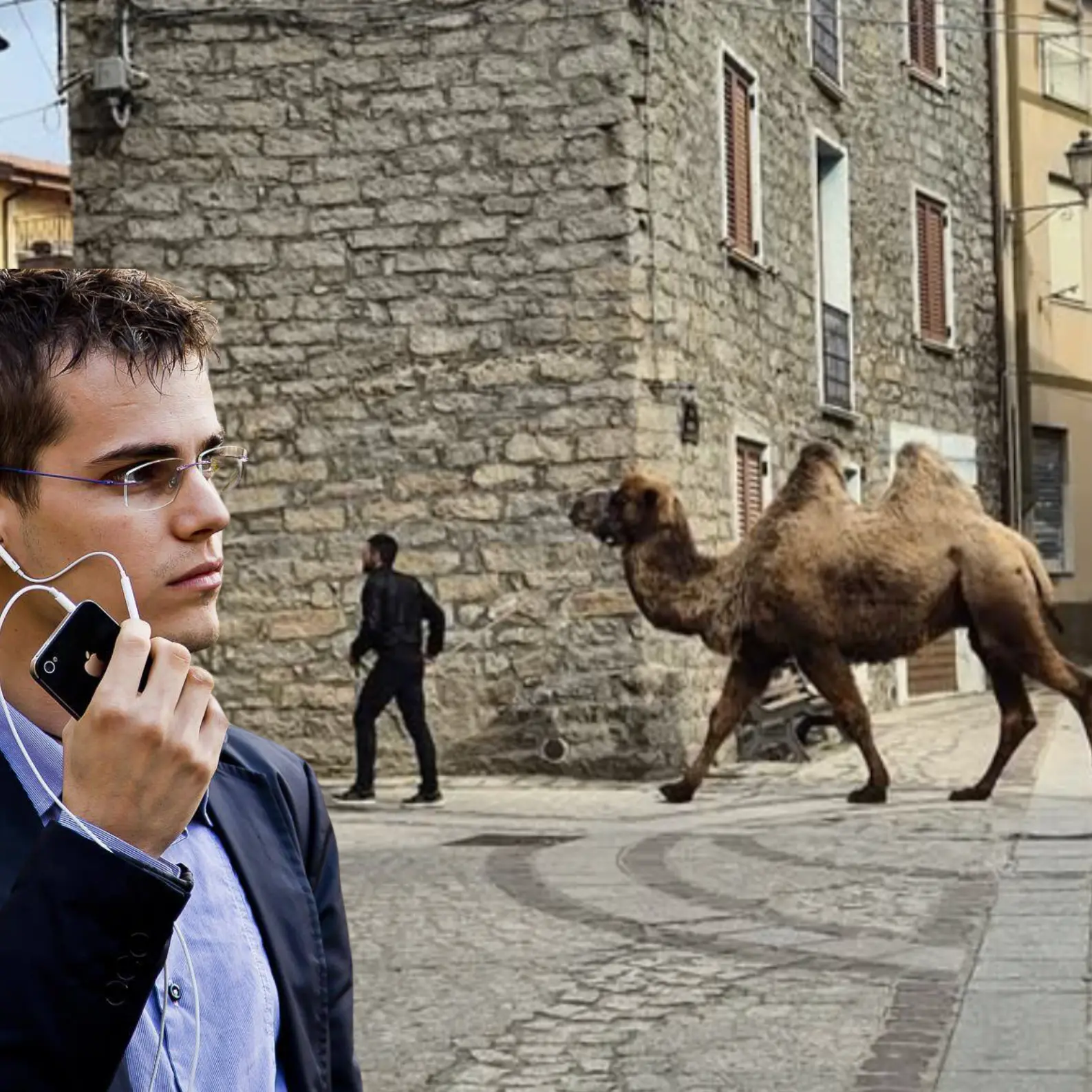 Il cammello Rodolfo torna a spasso e l'animalista Rizzi torna all'attacco: \"Terzo mondo\"